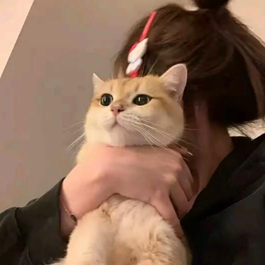 ￴￴￴￴ ￴￴ ￴ ￴ ￴￴