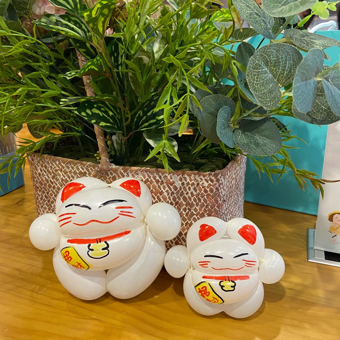 星空不在👿孤单