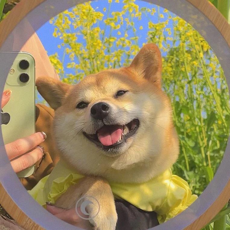 🌈  可爱的人。