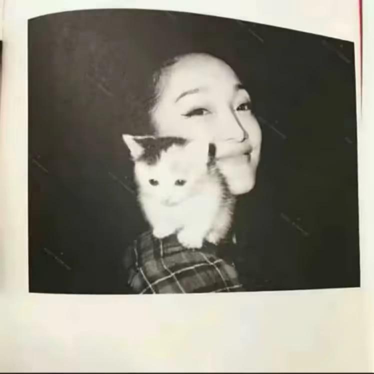 ㅤㅤㅤㅤㅤㅤ       ㅤㅤㅤ