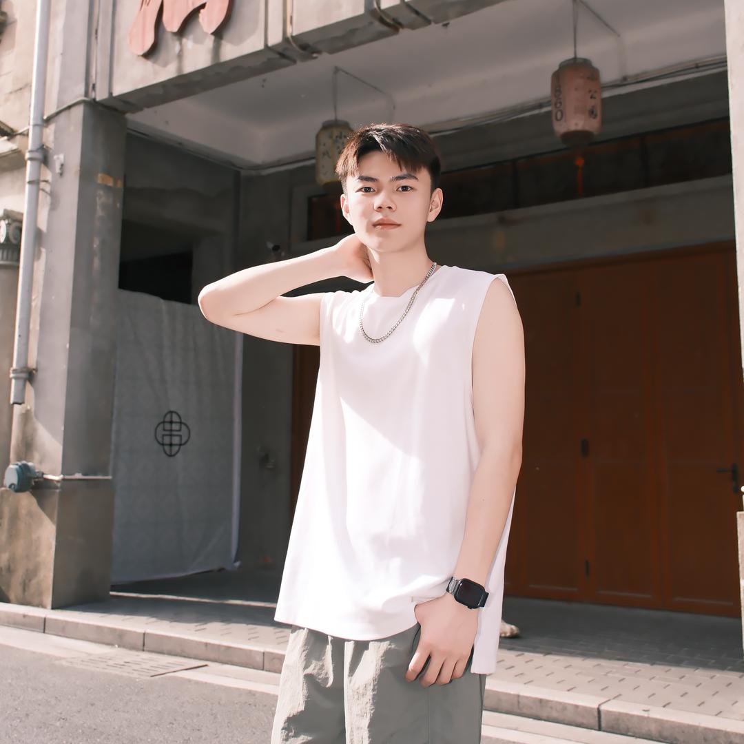 苏鹤(高调锅)