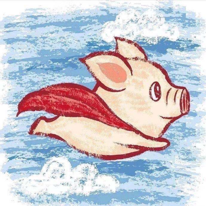 飞翔的猪🐷