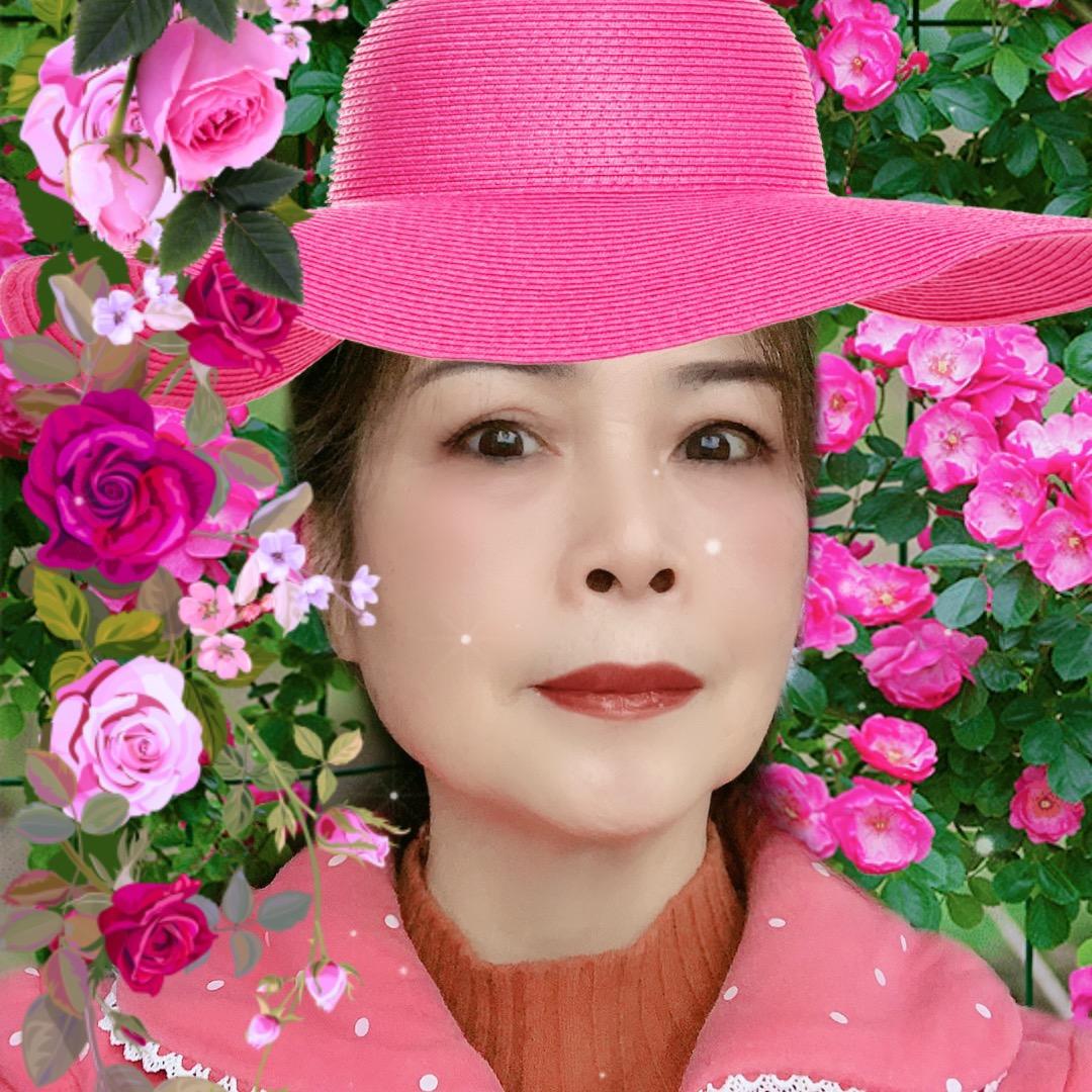 冰心荷