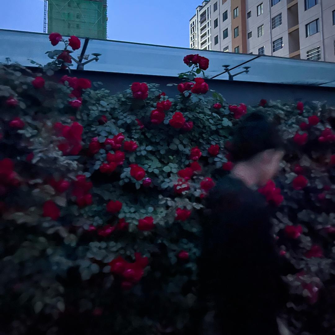 馬小宁࿐