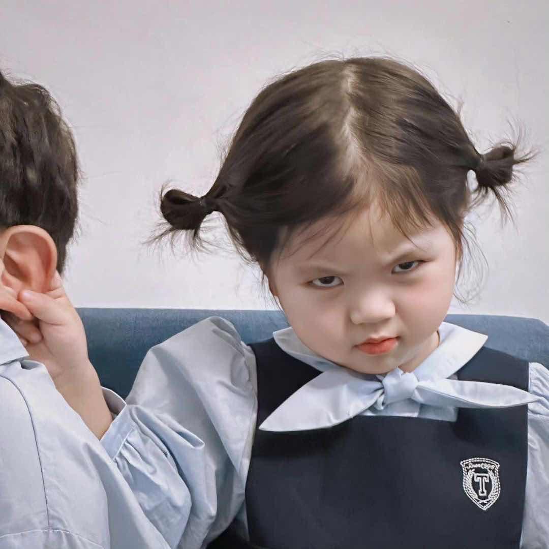 恕我直言