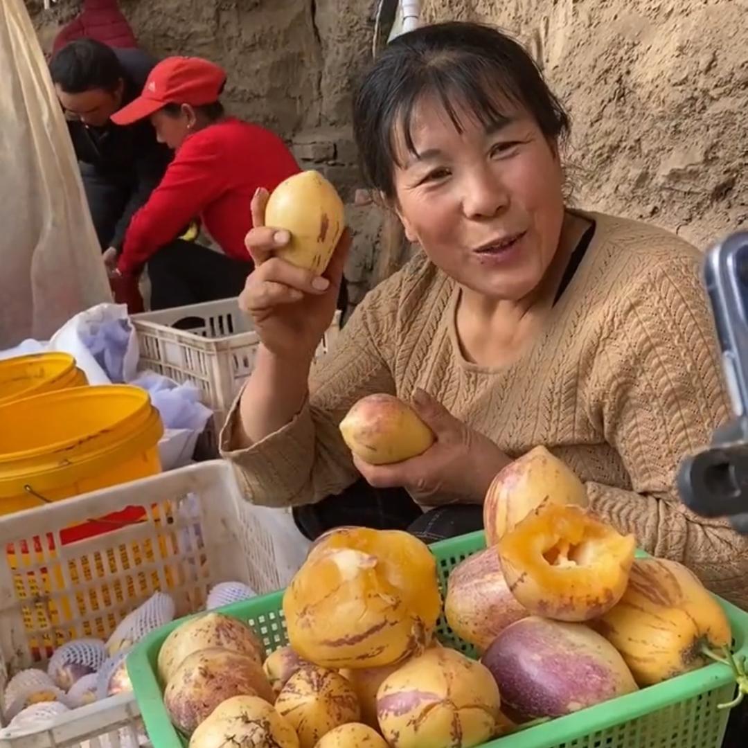 甘肃民勤花姐