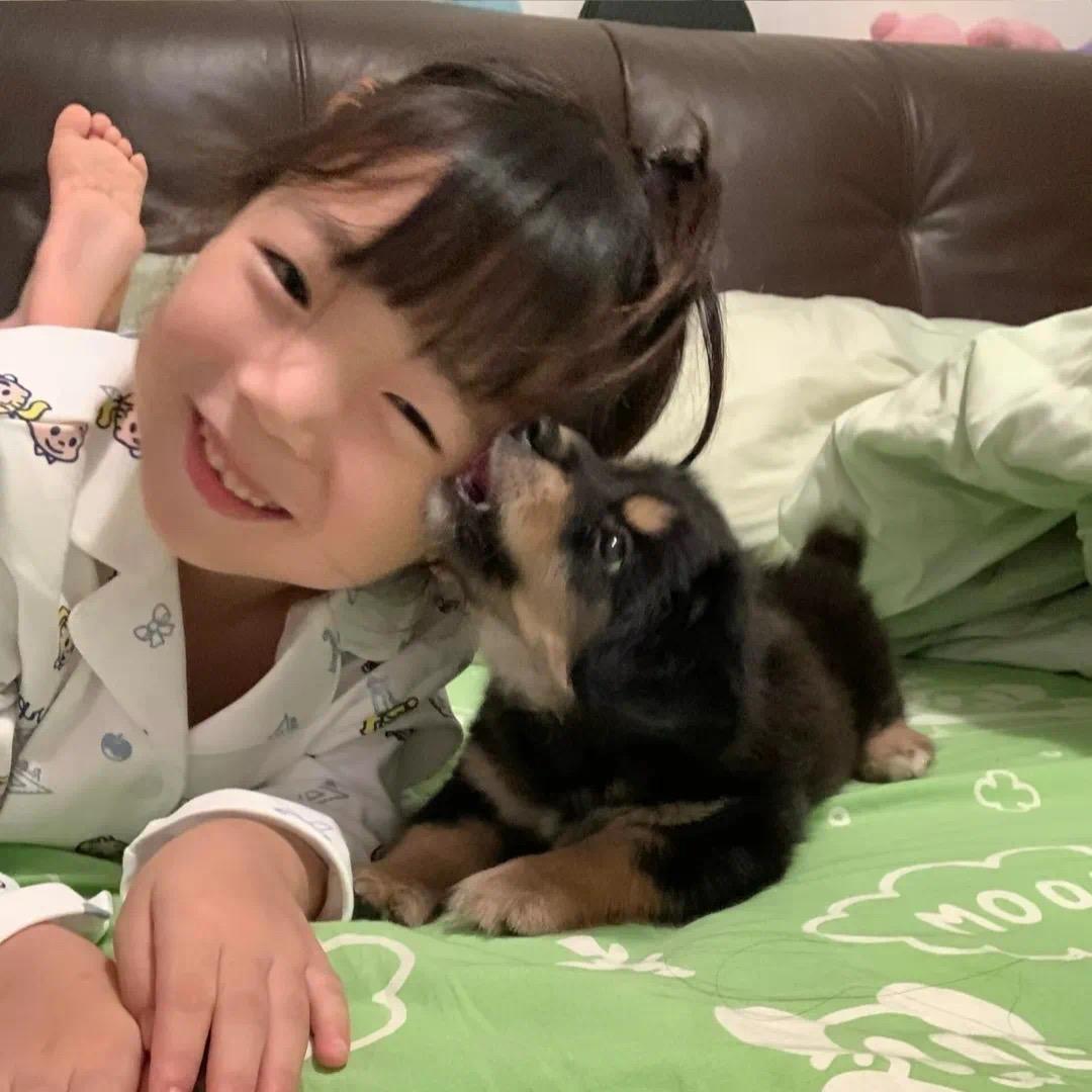 茉莉小桃