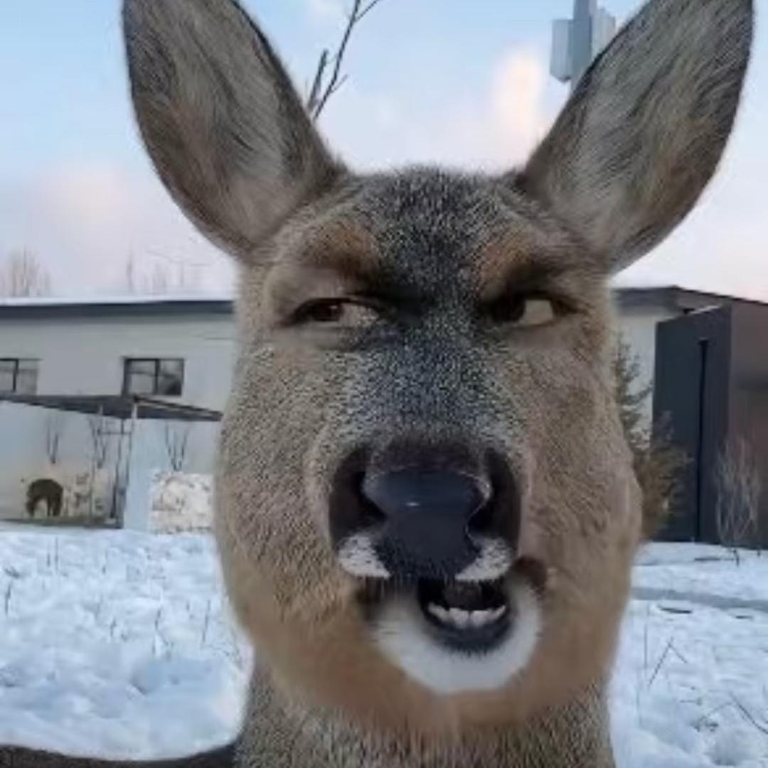.7.