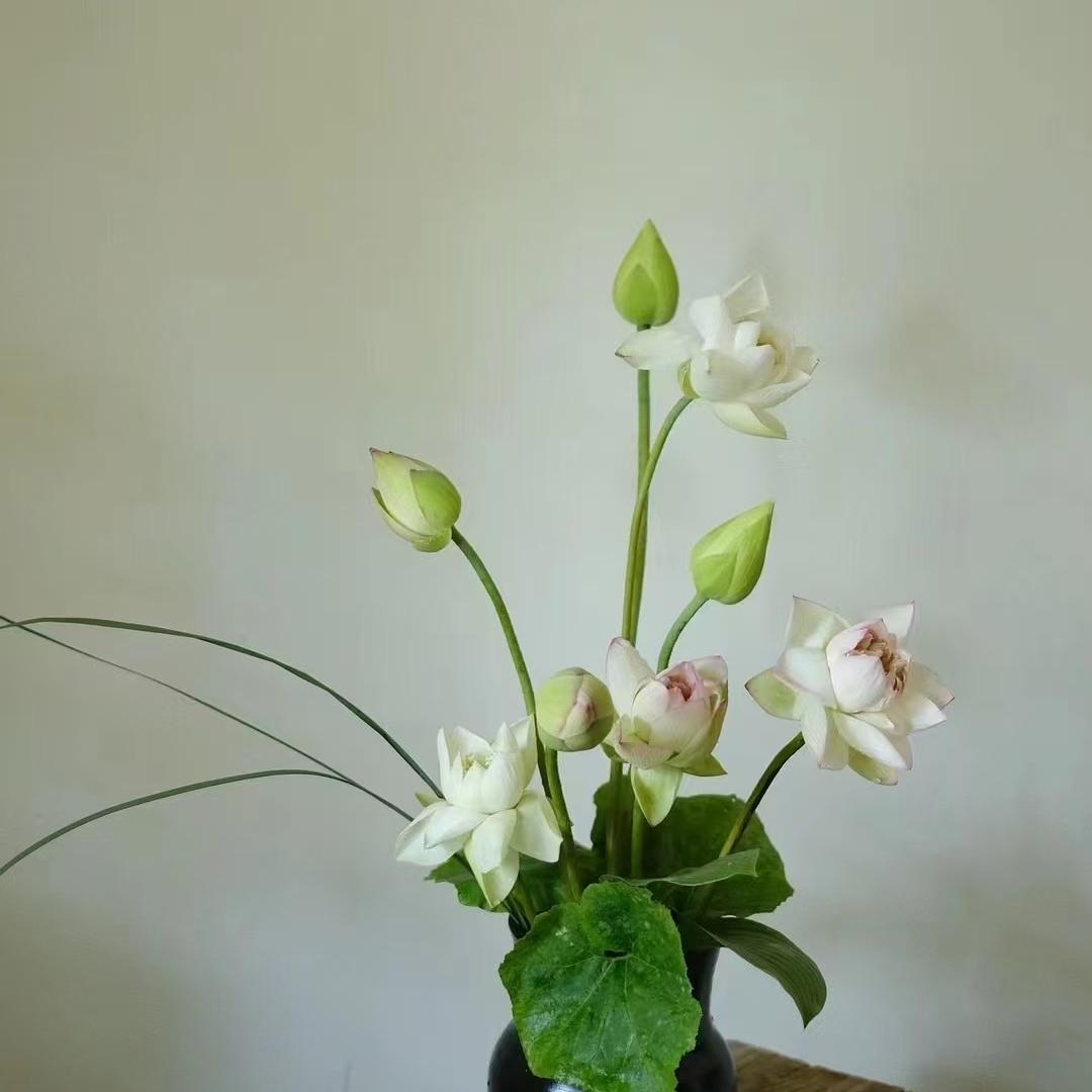 乱花渐欲微景观