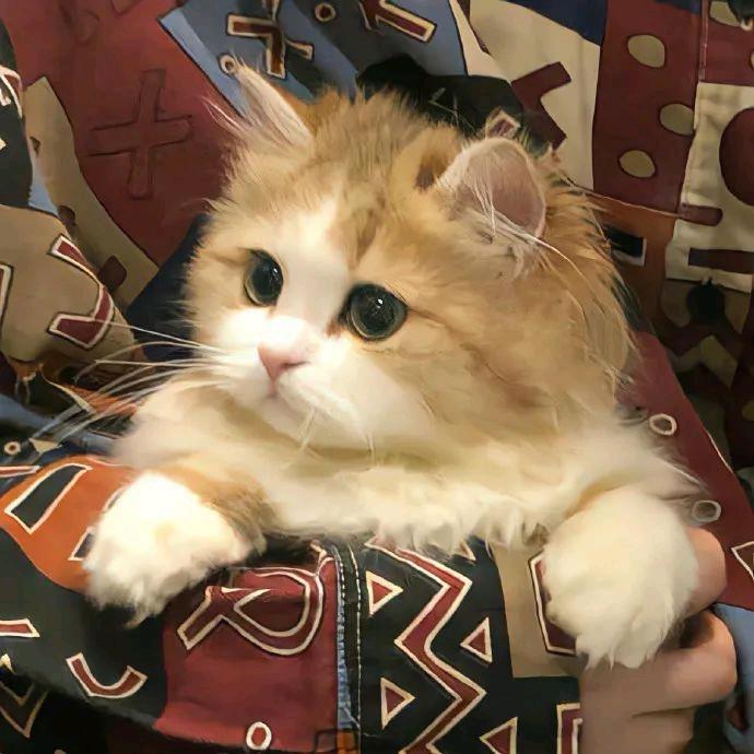 星辰✨