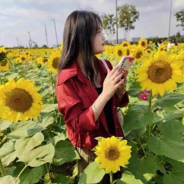 🌼～毕定翻身～🌻