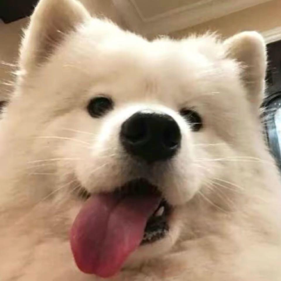 倒计时