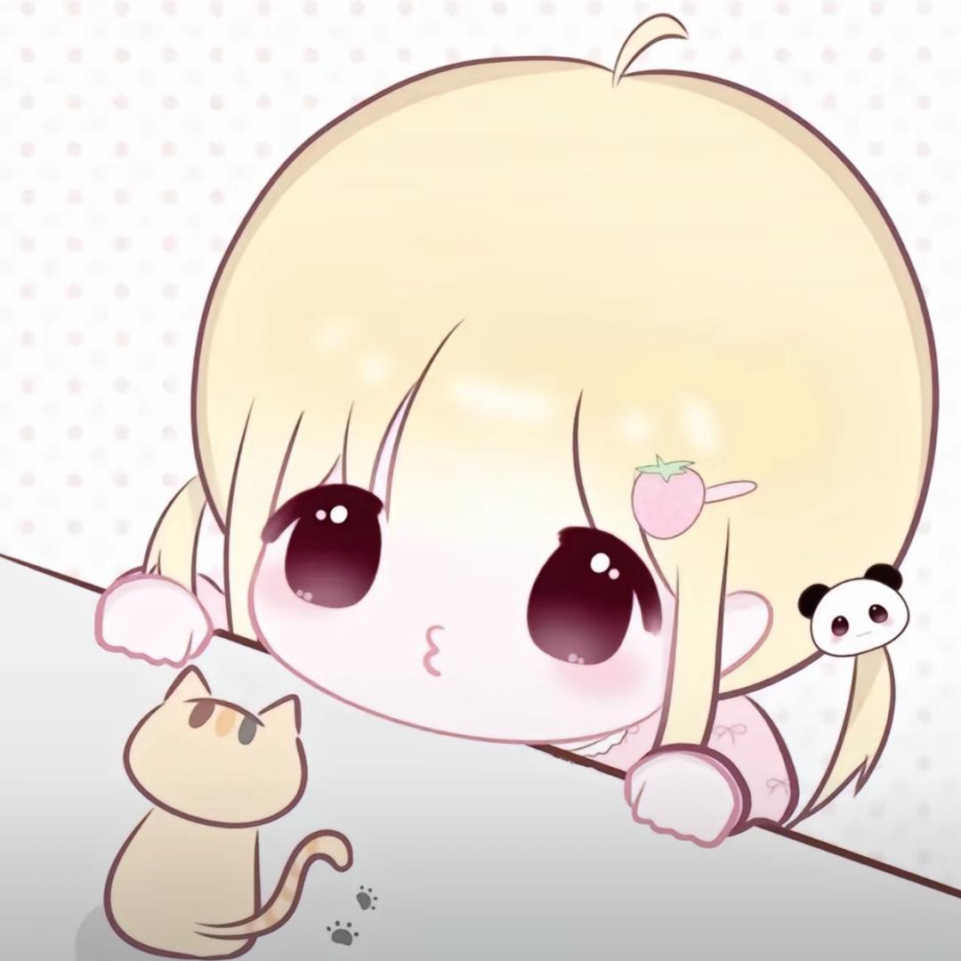 高冷KT猫