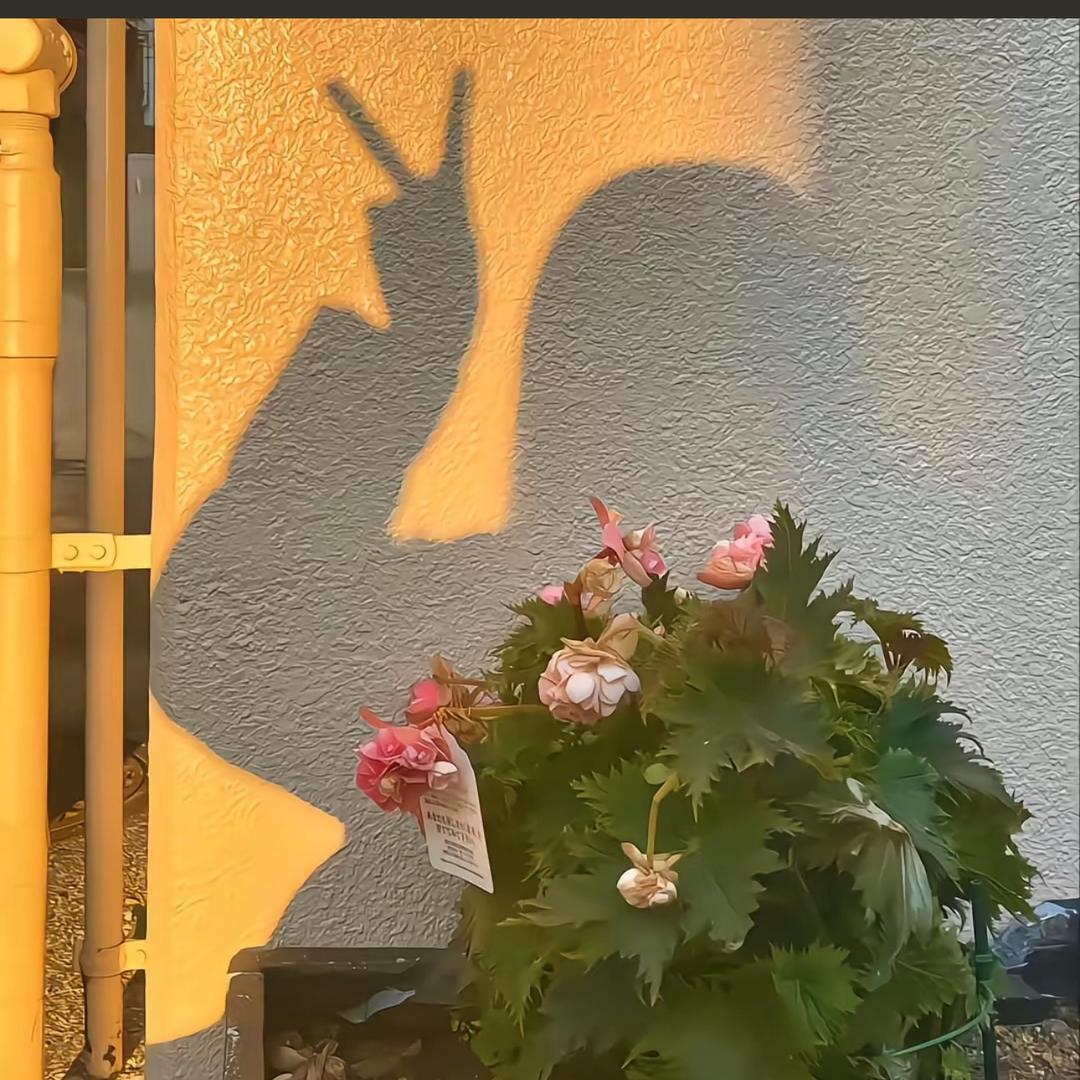 ঞ໊十一² º ² ⁵ᥫᩣ