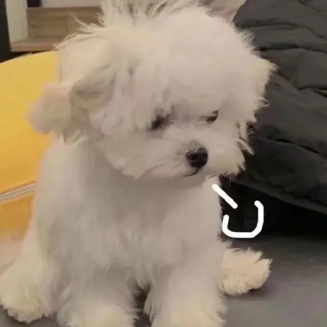 啊啊啊你说啥
