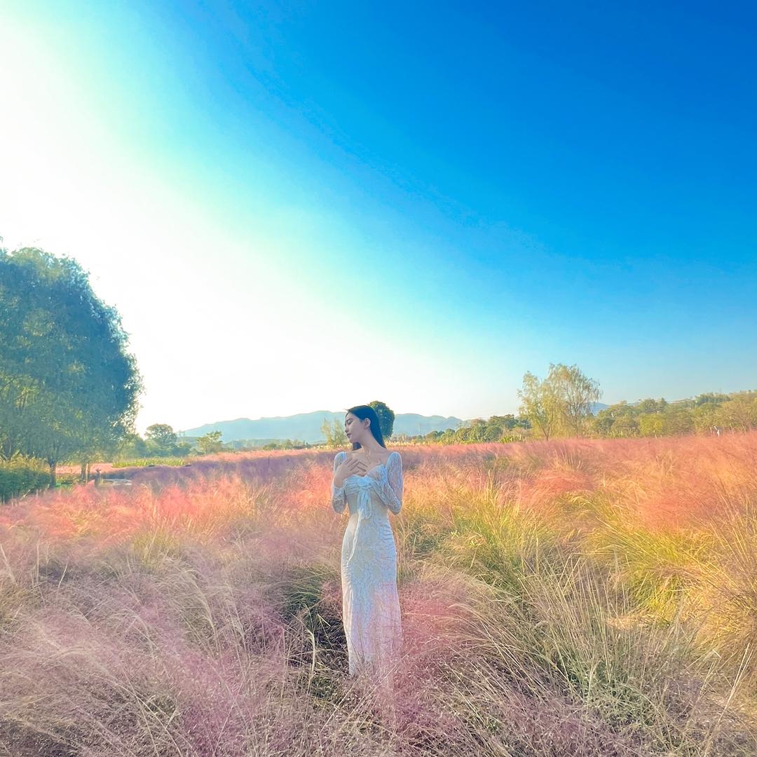 香香呀🌹