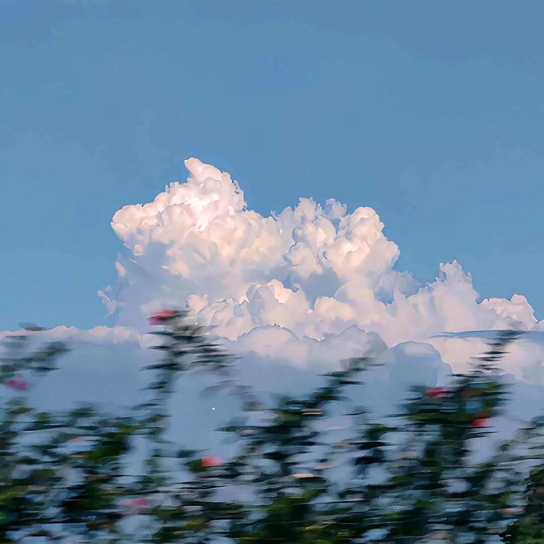 万岭花开