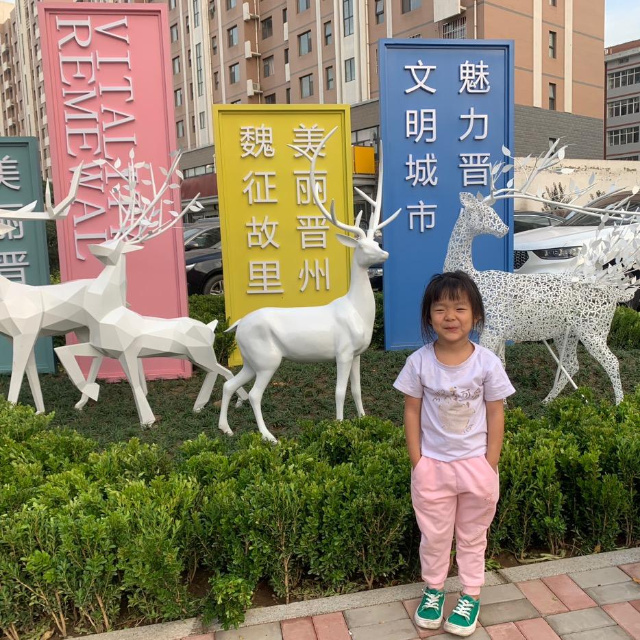 金 仓 电力