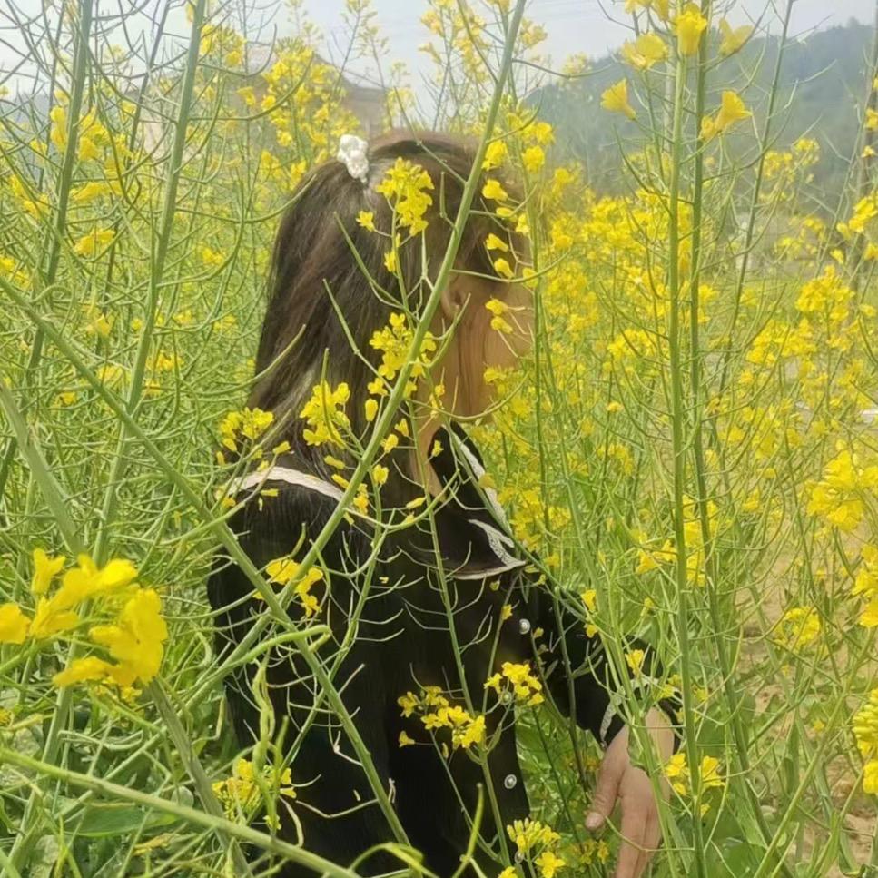 如意独宠