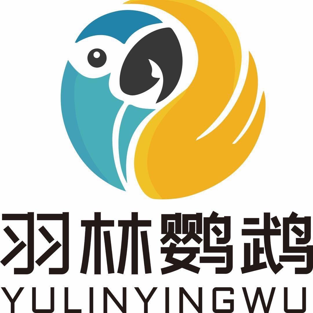 YULIN鹦鹉
