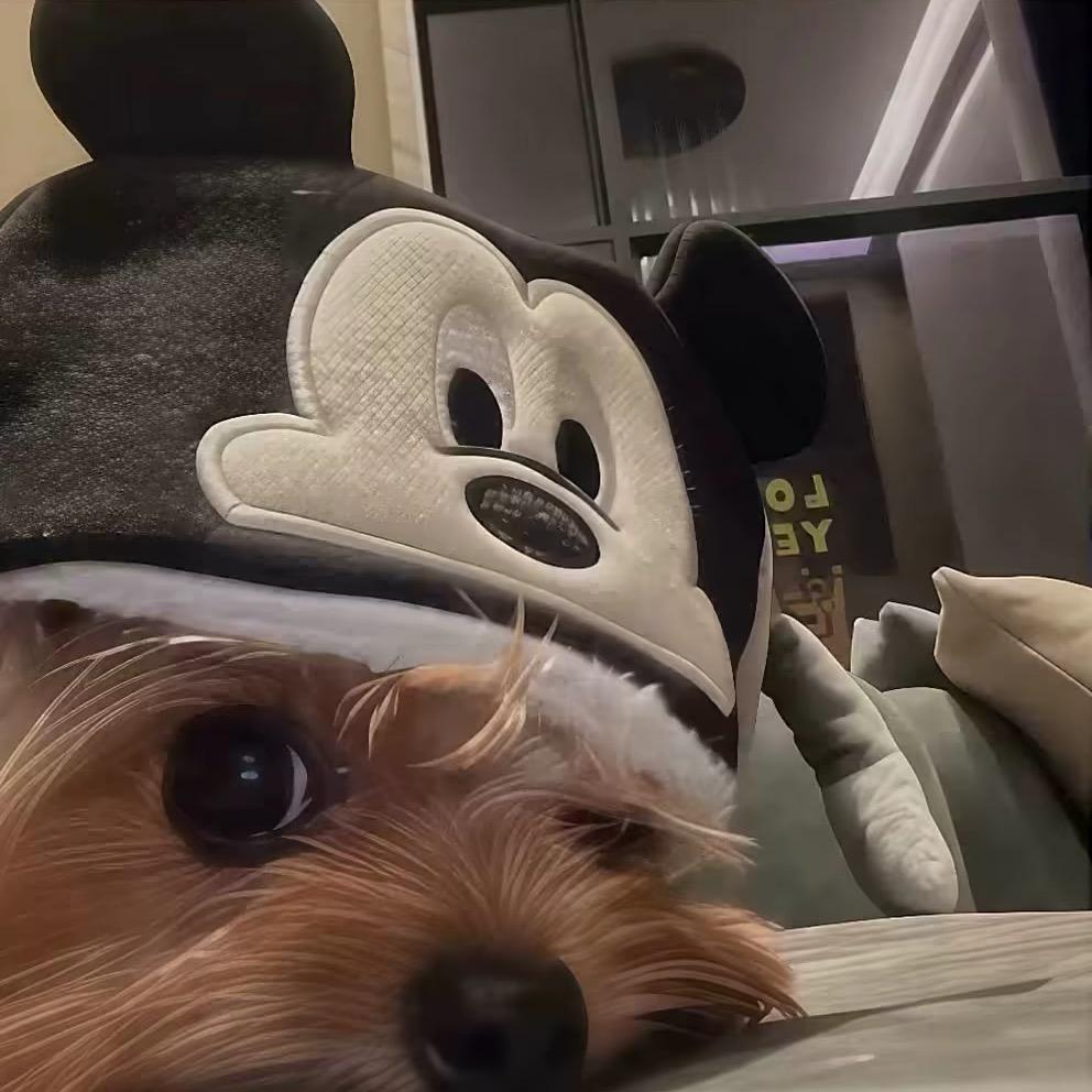 󠀀󠀀 每天睡不醒