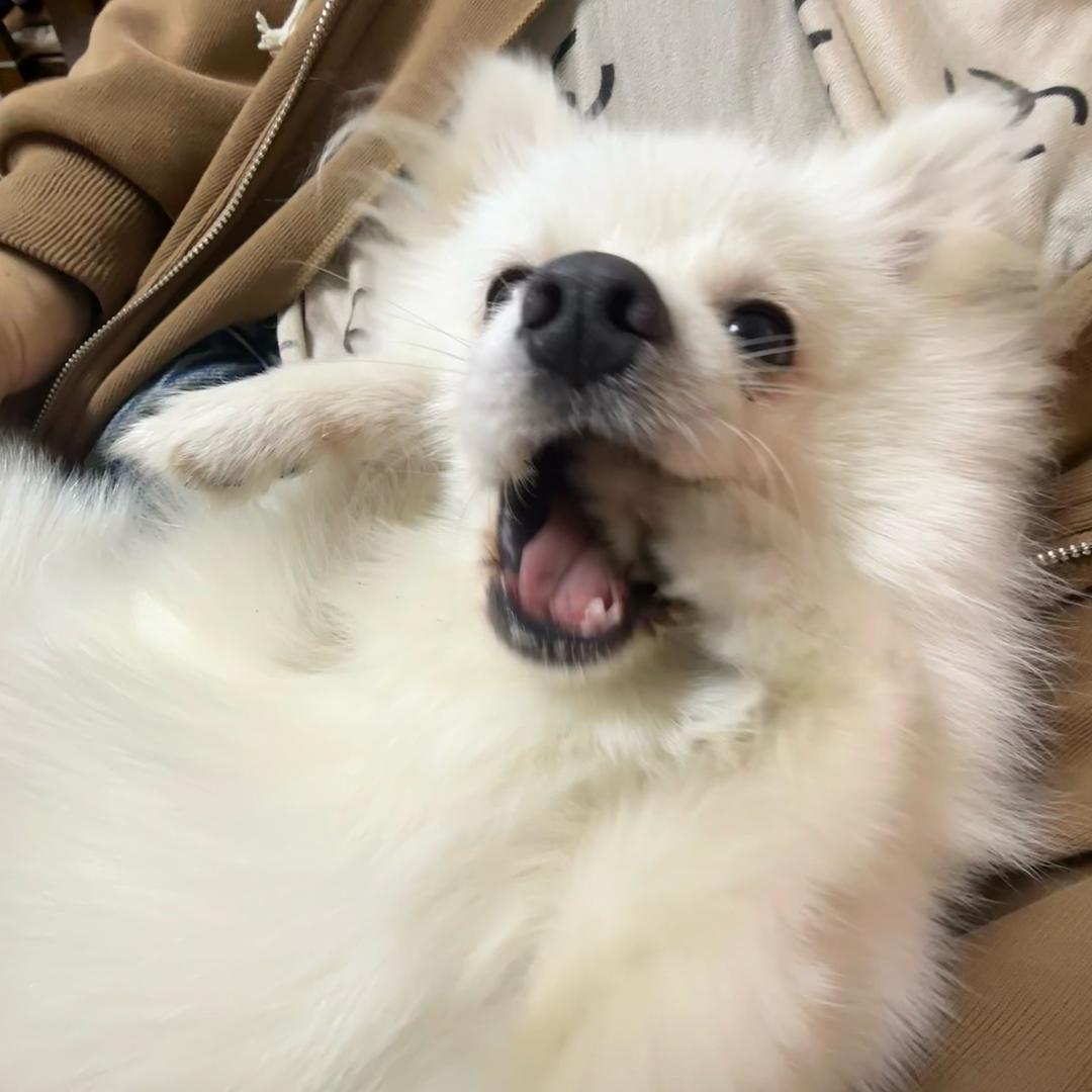 NAna.楠.