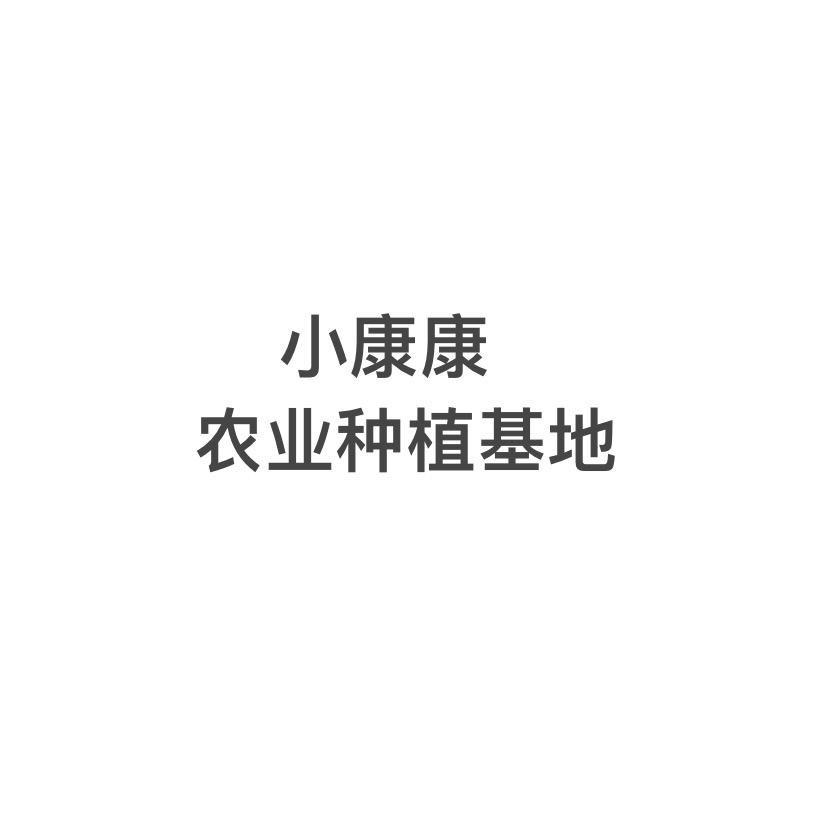 勐海种植 魔芋 橄榄 小康康