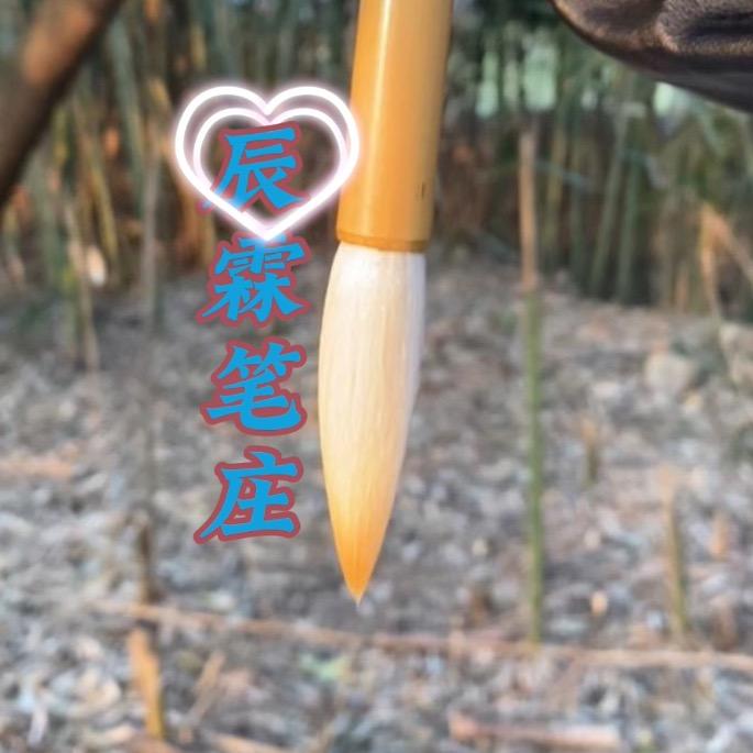 辰霖笔庄