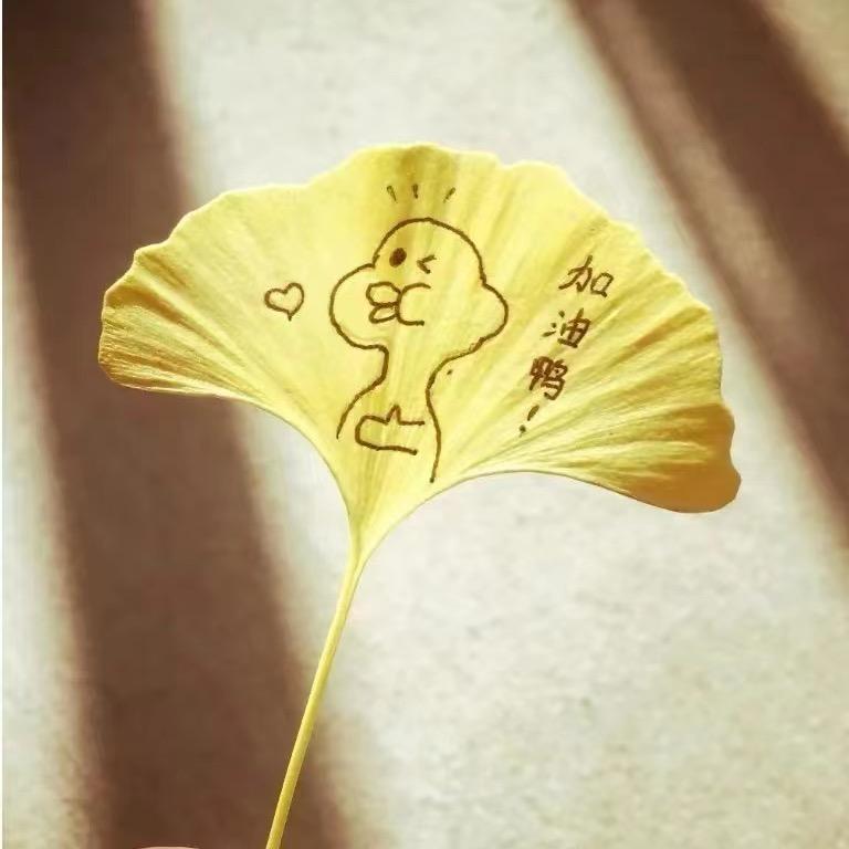 浮生若梦与你相随