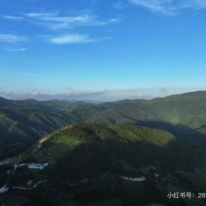 天台山黄精 九蒸九晒