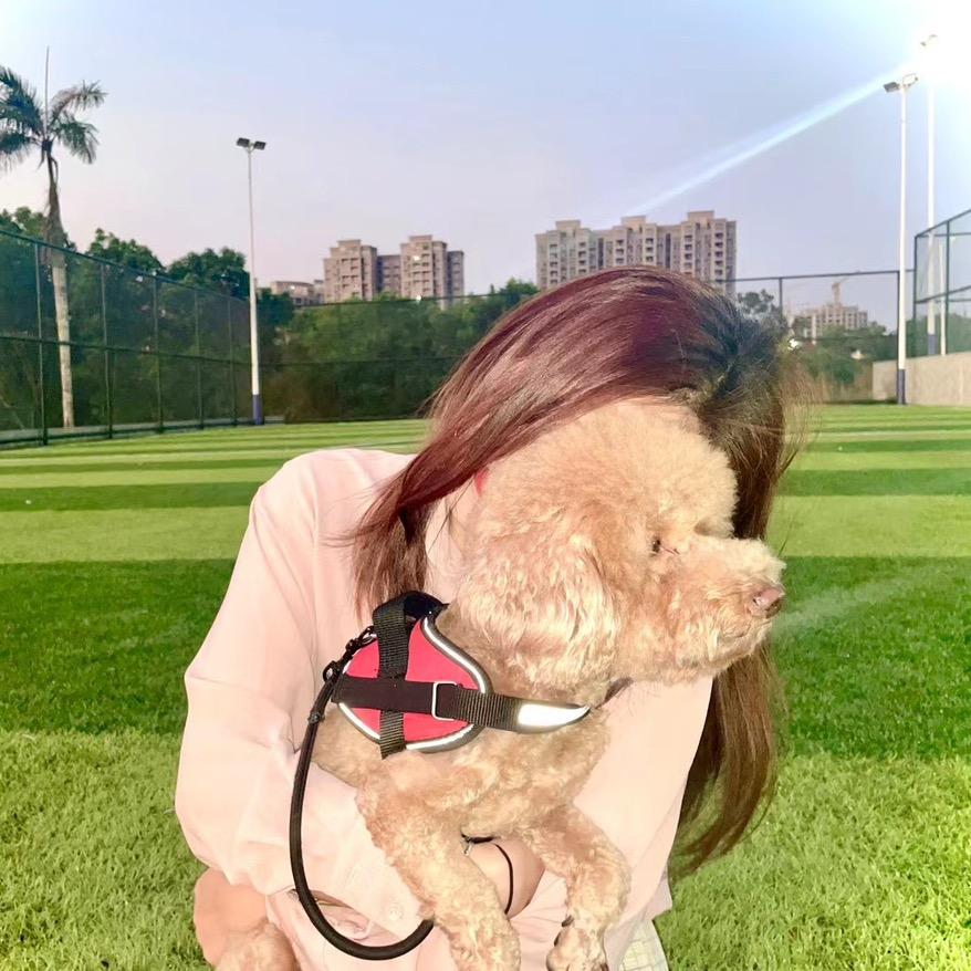 椰林旅馆农家鸡饭店