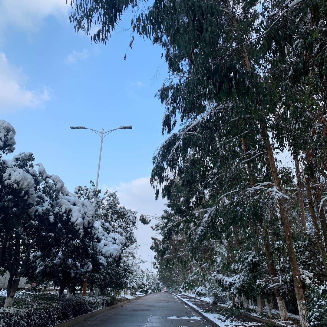 冬天里的一把火