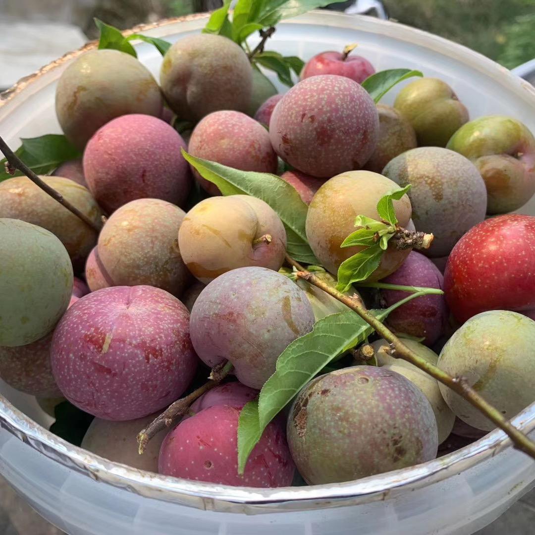 李果果缘水果店