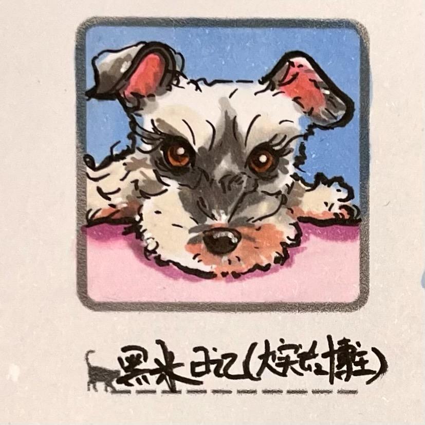 黑米日记(大实话博主)