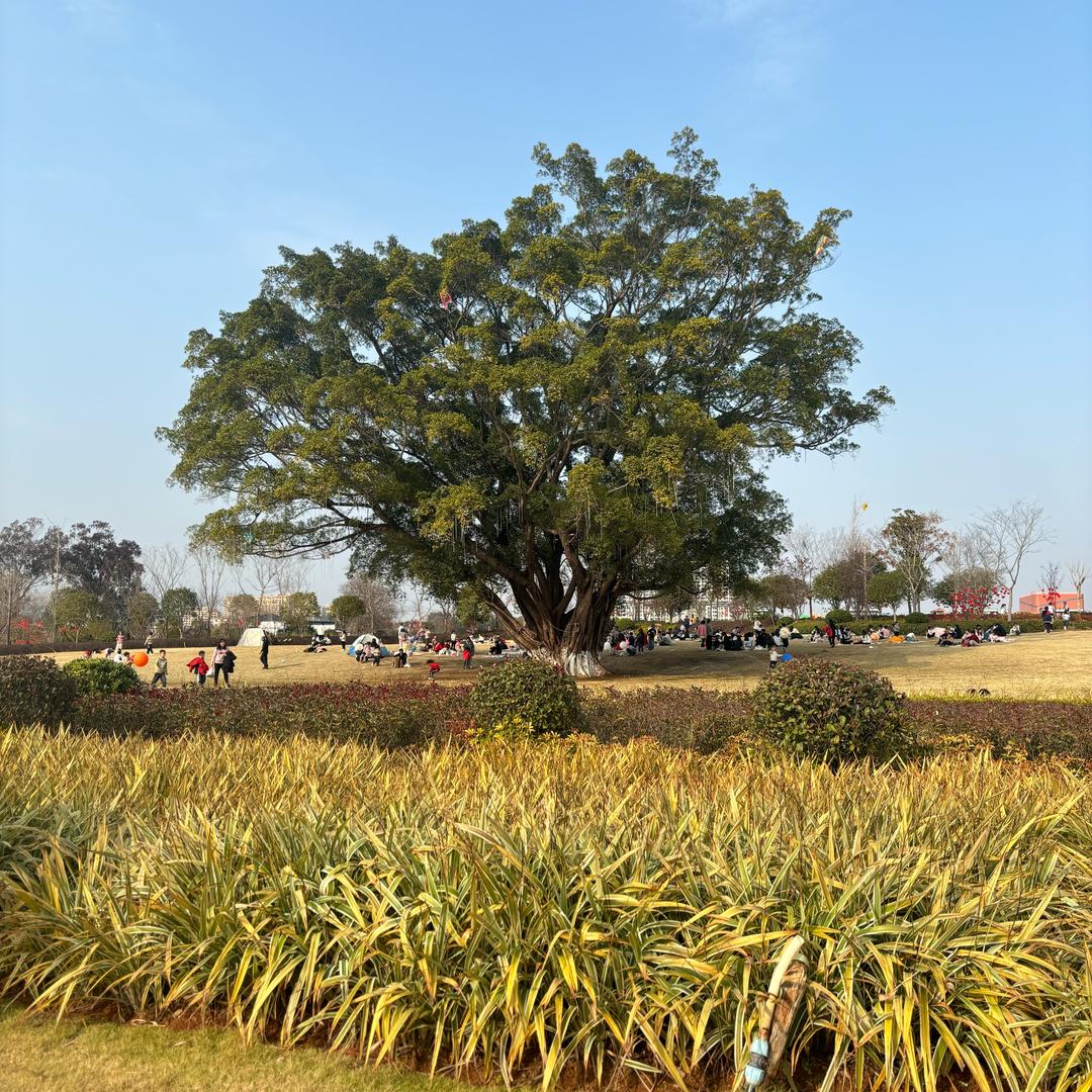 最美的不是下雨天