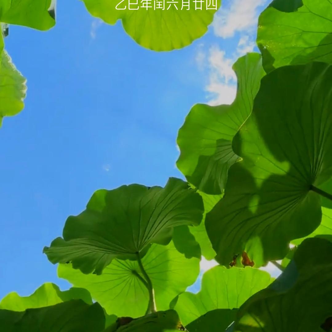 友佳