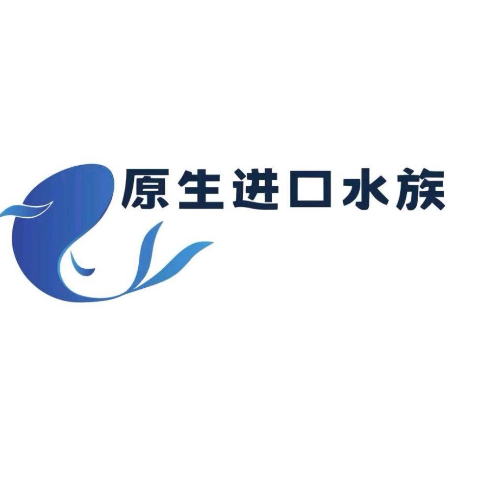 原生进口鱼一线