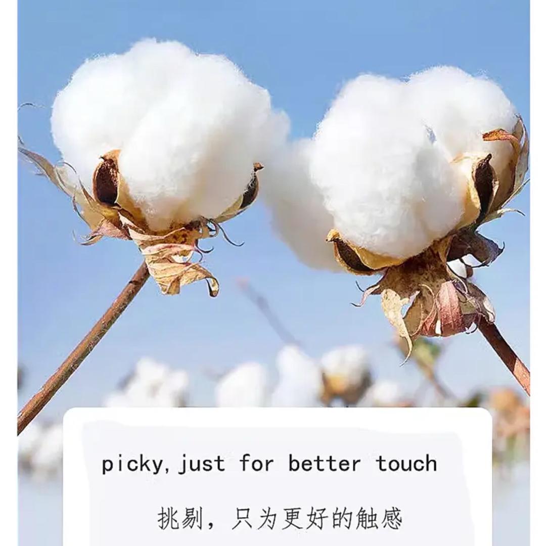 这么大的小象
