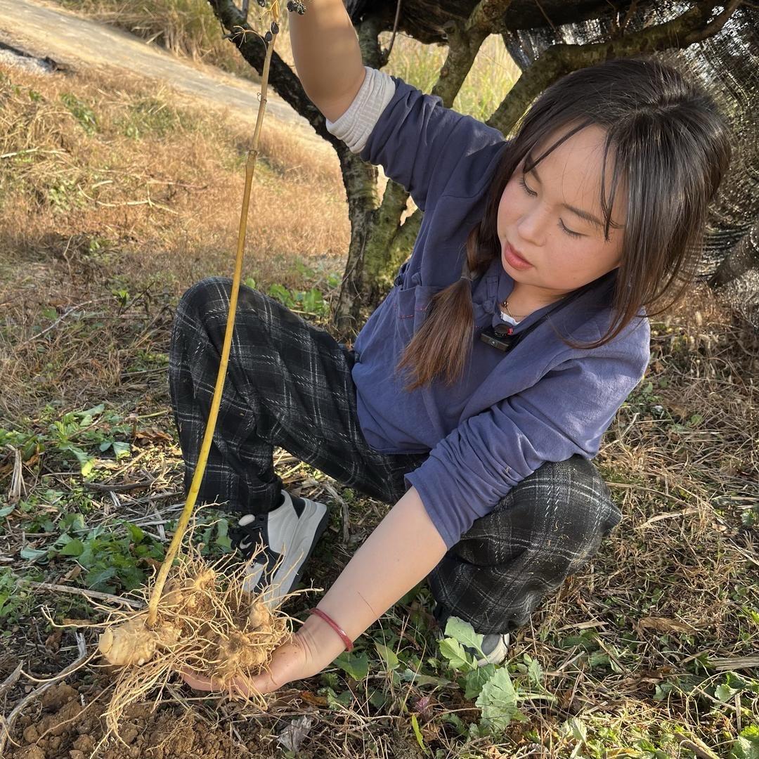 新晃古法非遗馆