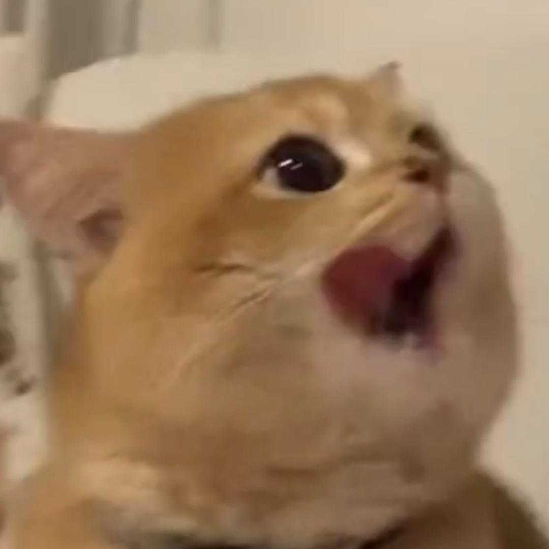 春日步