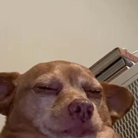 HH .