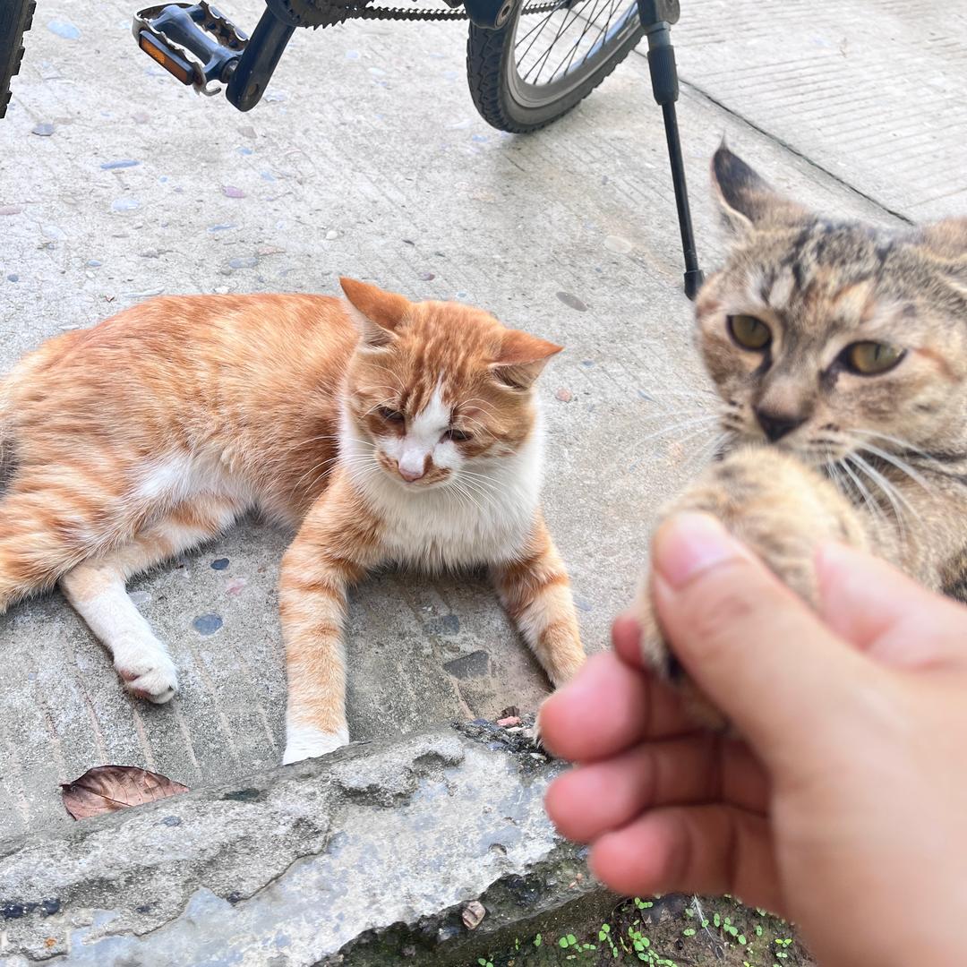 开玩笑总要有个头