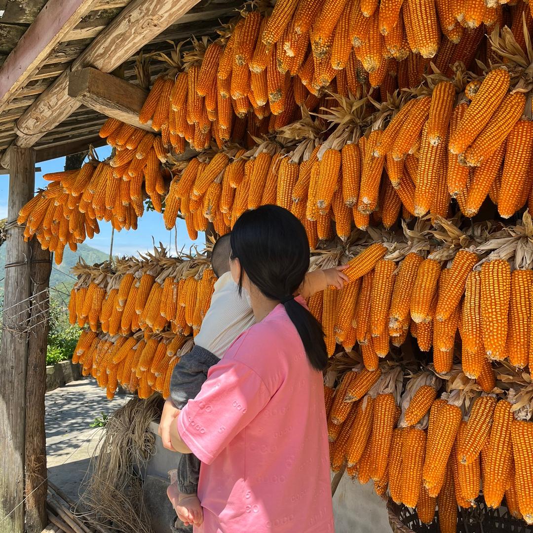 山遇