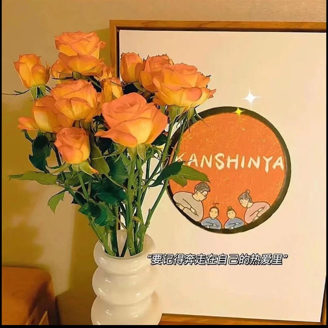 蓝桉长在洱海边🏝️