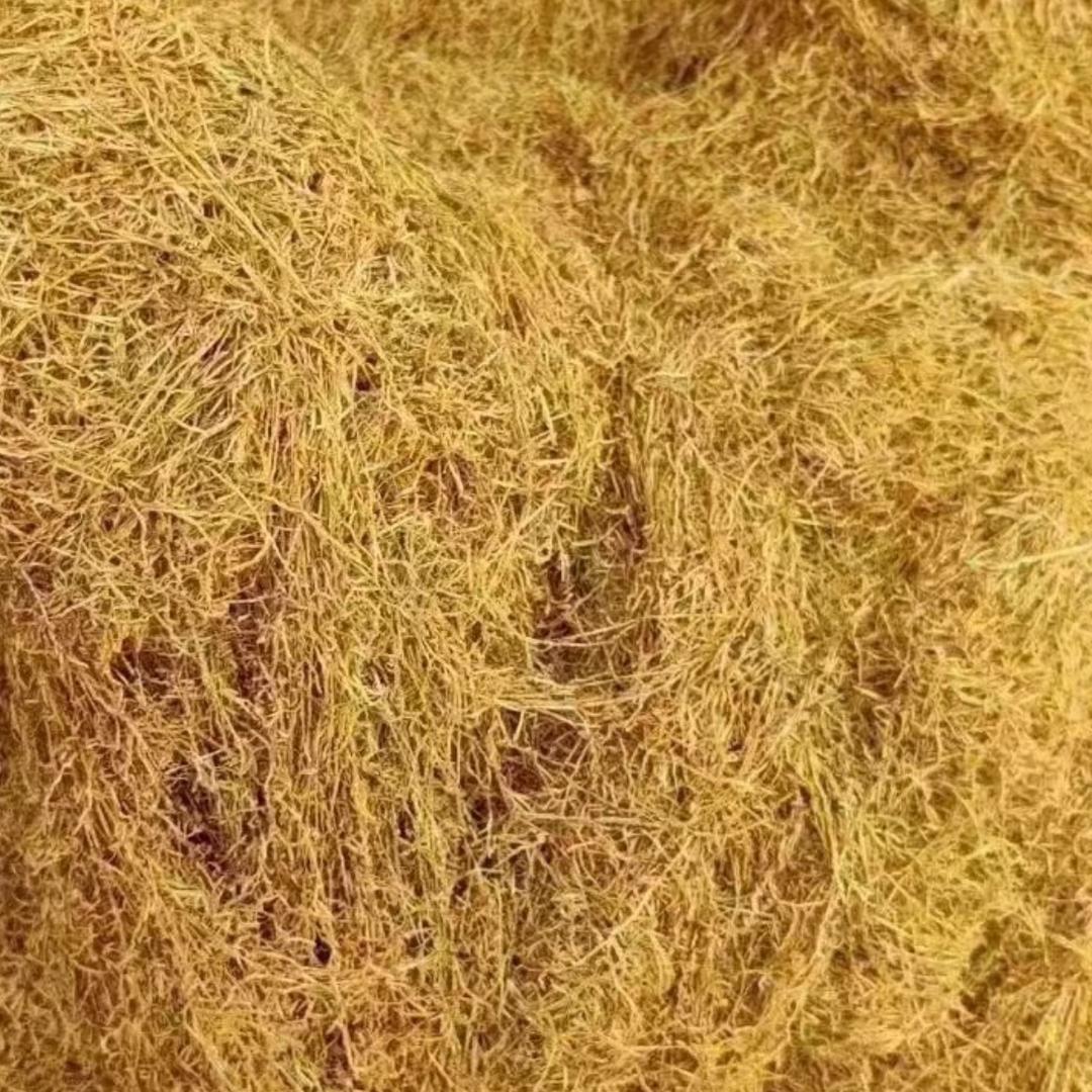 云南正宗口米良