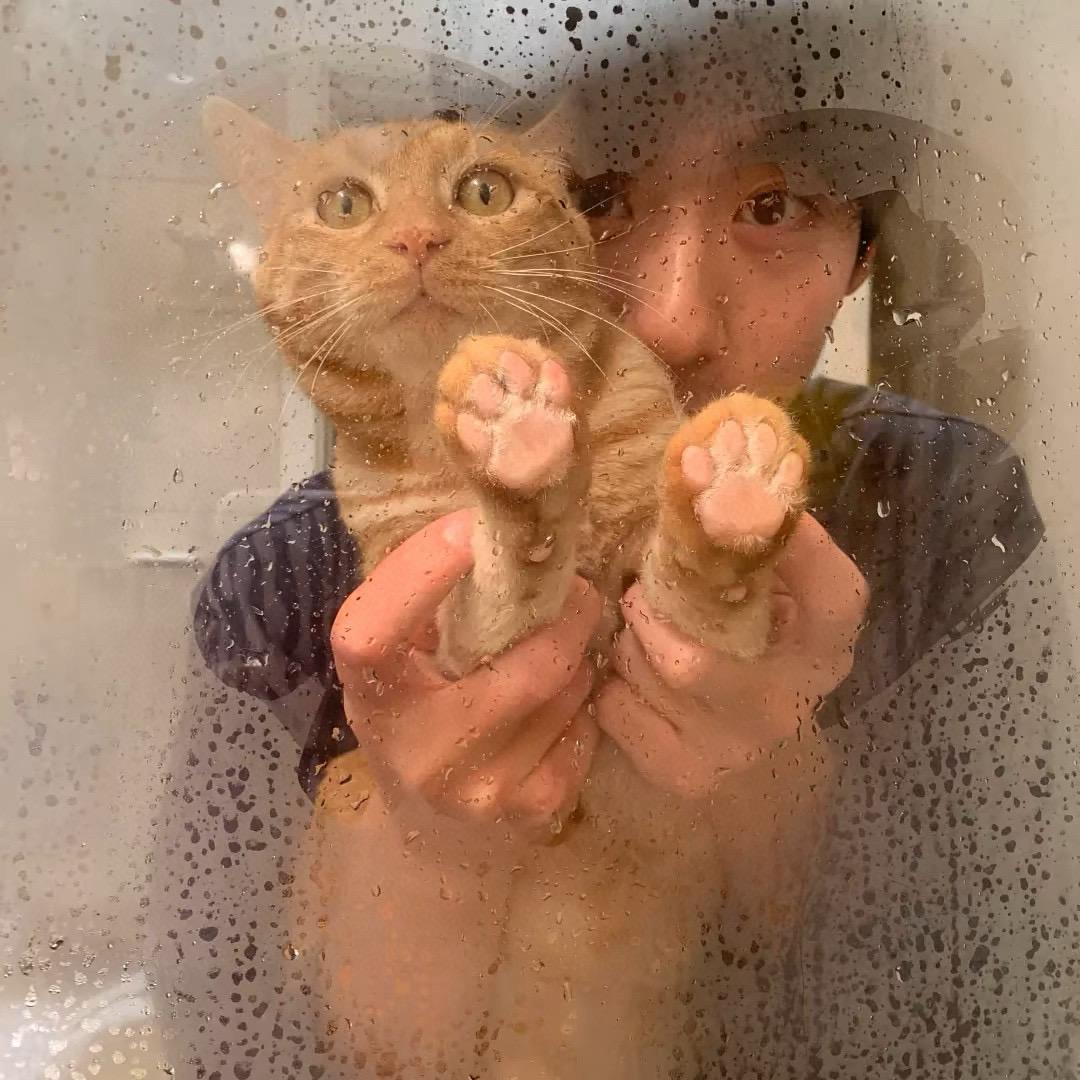 hy