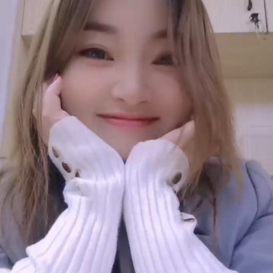 单身林林