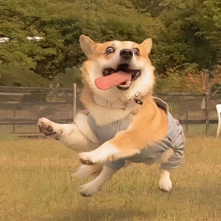 王某