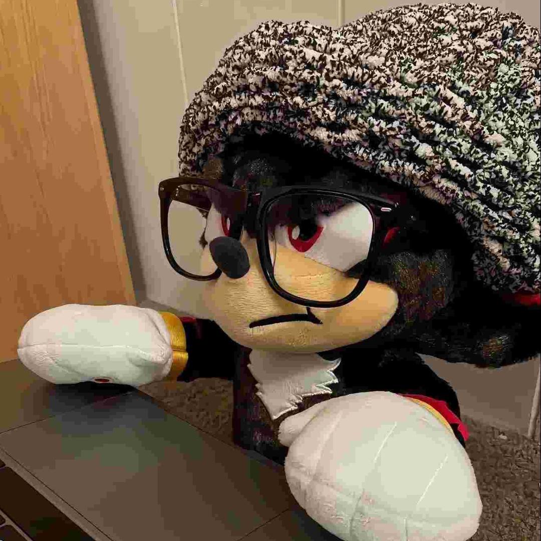 威县（临西 清河）迈腾婚车车队