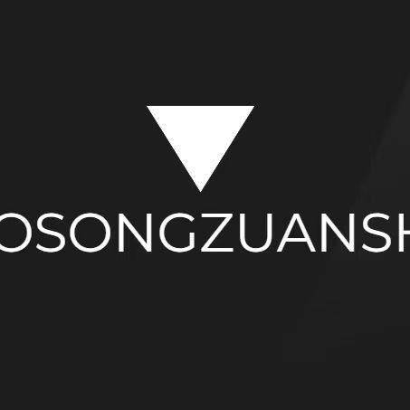 BOSONGZUANSHI男包